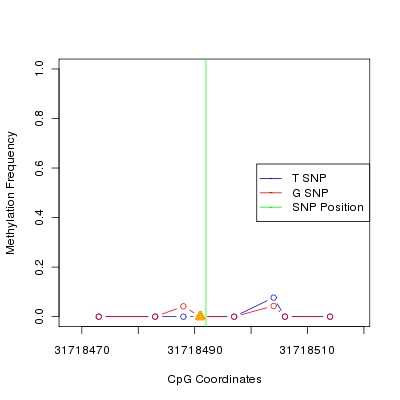 Allele Specific Methylation Frequency Diagram for chr20 31718492 SNP.