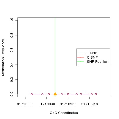 Allele Specific Methylation Frequency Diagram for chr20 31718894 SNP.