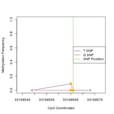 Allele Specific Methylation Frequency Diagram for chr20 33198566 SNP.