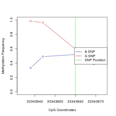 Allele Specific Methylation Frequency Diagram for chr20 33343960 SNP.