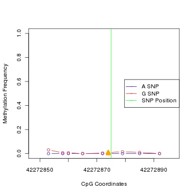 Allele Specific Methylation Frequency Diagram for chr20 42272875 SNP.