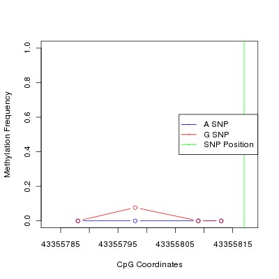 Allele Specific Methylation Frequency Diagram for chr20 43355817 SNP.