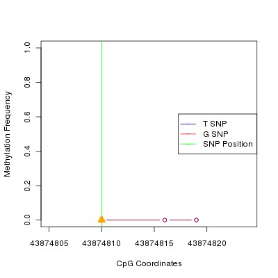 Allele Specific Methylation Frequency Diagram for chr20 43874810 SNP.