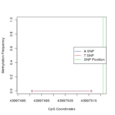 Allele Specific Methylation Frequency Diagram for chr20 43997521 SNP.