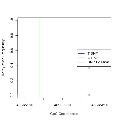 Allele Specific Methylation Frequency Diagram for chr20 46565194 SNP.