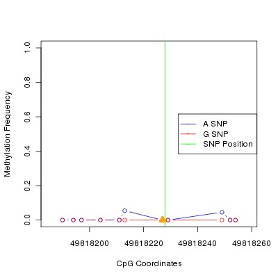 Allele Specific Methylation Frequency Diagram for chr20 49818228 SNP.