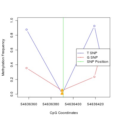 Allele Specific Methylation Frequency Diagram for chr20 54636391 SNP.