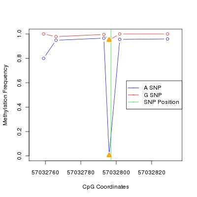 Allele Specific Methylation Frequency Diagram for chr20 57032797 SNP.