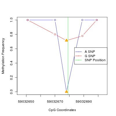 Allele Specific Methylation Frequency Diagram for chr20 59032679 SNP.