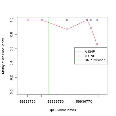 Allele Specific Methylation Frequency Diagram for chr20 59936745 SNP.