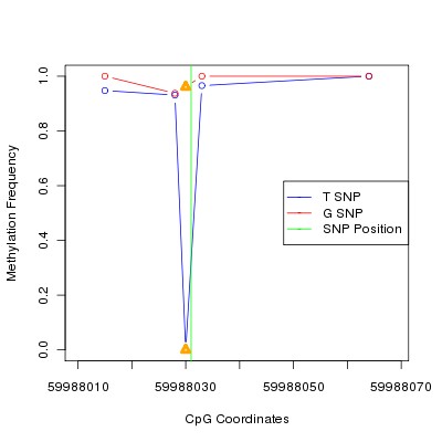 Allele Specific Methylation Frequency Diagram for chr20 59988031 SNP.