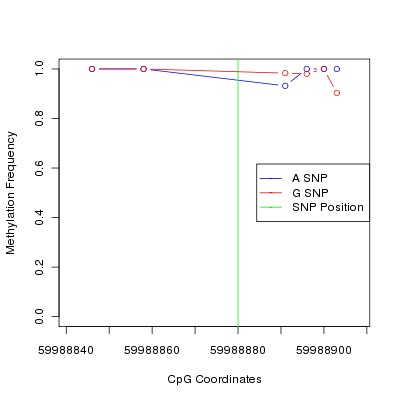 Allele Specific Methylation Frequency Diagram for chr20 59988880 SNP.