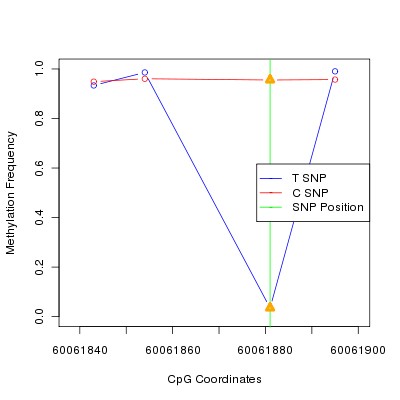 Allele Specific Methylation Frequency Diagram for chr20 60061881 SNP.