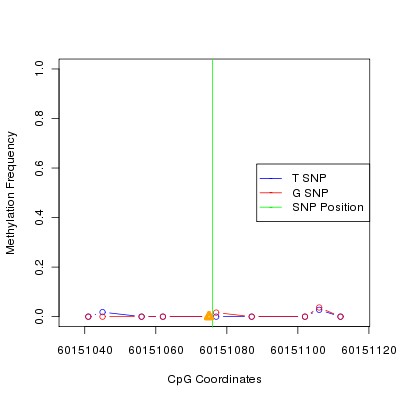 Allele Specific Methylation Frequency Diagram for chr20 60151076 SNP.