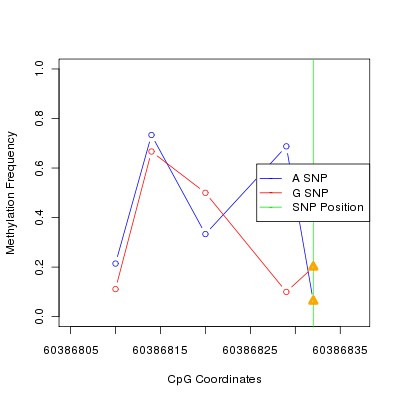 Allele Specific Methylation Frequency Diagram for chr20 60386832 SNP.