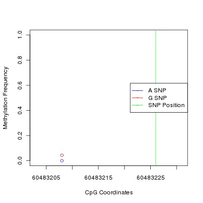 Allele Specific Methylation Frequency Diagram for chr20 60483226 SNP.