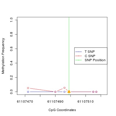 Allele Specific Methylation Frequency Diagram for chr20 61107499 SNP.