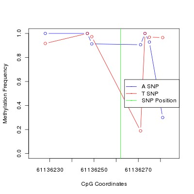 Allele Specific Methylation Frequency Diagram for chr20 61136262 SNP.