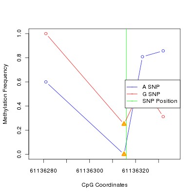 Allele Specific Methylation Frequency Diagram for chr20 61136316 SNP.