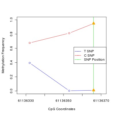 Allele Specific Methylation Frequency Diagram for chr20 61136366 SNP.