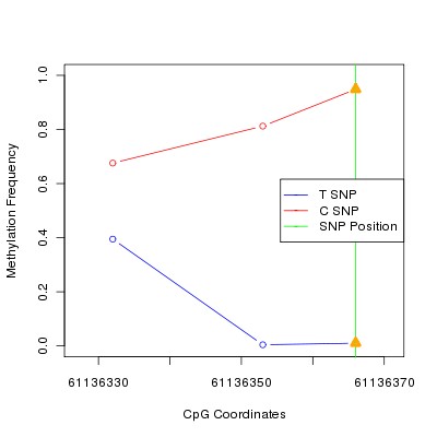 Allele Specific Methylation Frequency Diagram for chr20 61136366 SNP.