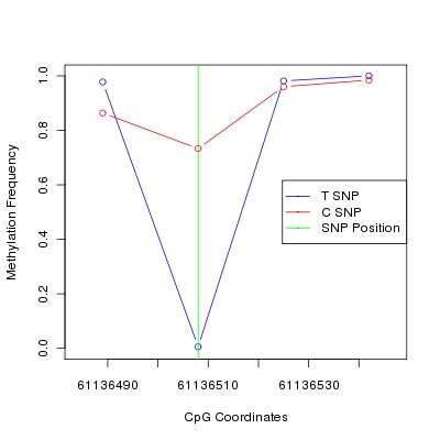 Allele Specific Methylation Frequency Diagram for chr20 61136508 SNP.