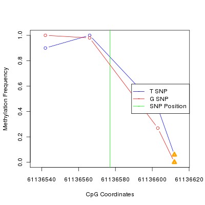 Allele Specific Methylation Frequency Diagram for chr20 61136577 SNP.