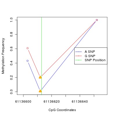 Allele Specific Methylation Frequency Diagram for chr20 61136613 SNP.
