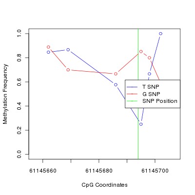 Allele Specific Methylation Frequency Diagram for chr20 61145694 SNP.