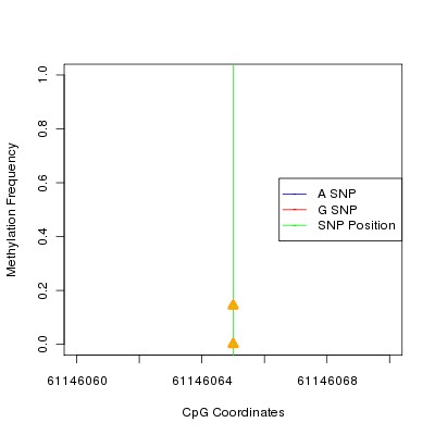 Allele Specific Methylation Frequency Diagram for chr20 61146065 SNP.