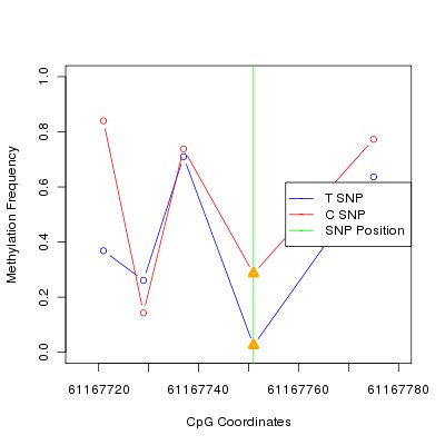 Allele Specific Methylation Frequency Diagram for chr20 61167751 SNP.