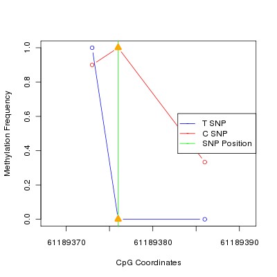 Allele Specific Methylation Frequency Diagram for chr20 61189376 SNP.
