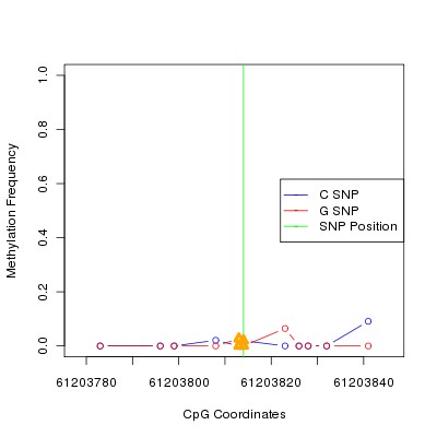 Allele Specific Methylation Frequency Diagram for chr20 61203814 SNP.