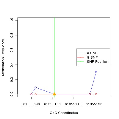 Allele Specific Methylation Frequency Diagram for chr20 61355101 SNP.