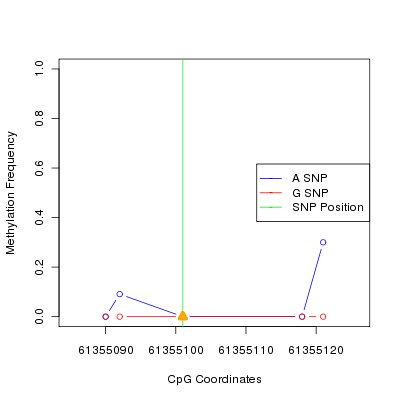 Allele Specific Methylation Frequency Diagram for chr20 61355101 SNP.