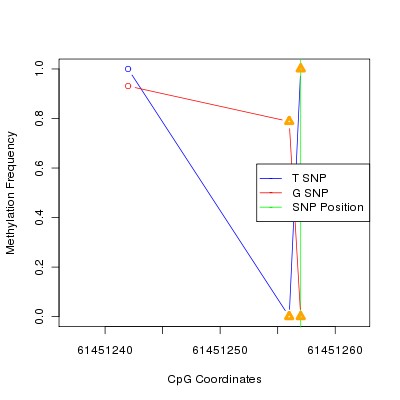 Allele Specific Methylation Frequency Diagram for chr20 61451257 SNP.