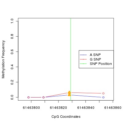 Allele Specific Methylation Frequency Diagram for chr20 61463829 SNP.