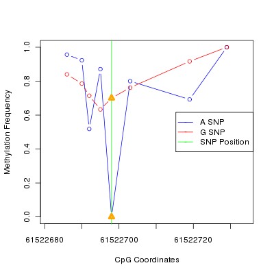 Allele Specific Methylation Frequency Diagram for chr20 61522698 SNP.
