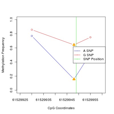 Allele Specific Methylation Frequency Diagram for chr20 61529949 SNP.