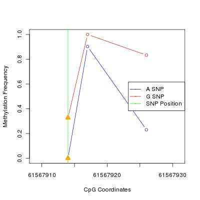 Allele Specific Methylation Frequency Diagram for chr20 61567914 SNP.