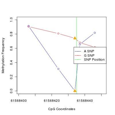 Allele Specific Methylation Frequency Diagram for chr20 61568435 SNP.