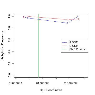 Allele Specific Methylation Frequency Diagram for chr20 61666697 SNP.