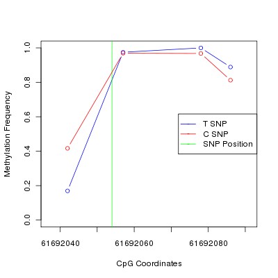 Allele Specific Methylation Frequency Diagram for chr20 61692054 SNP.