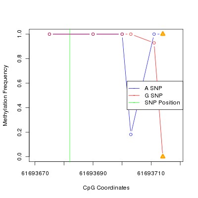 Allele Specific Methylation Frequency Diagram for chr20 61693682 SNP.