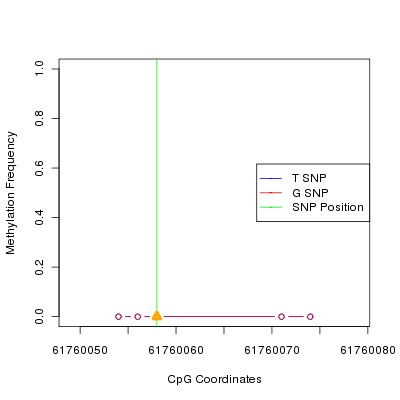 Allele Specific Methylation Frequency Diagram for chr20 61760058 SNP.