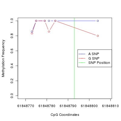 Allele Specific Methylation Frequency Diagram for chr20 61848793 SNP.