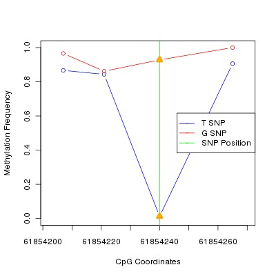 Allele Specific Methylation Frequency Diagram for chr20 61854240 SNP.