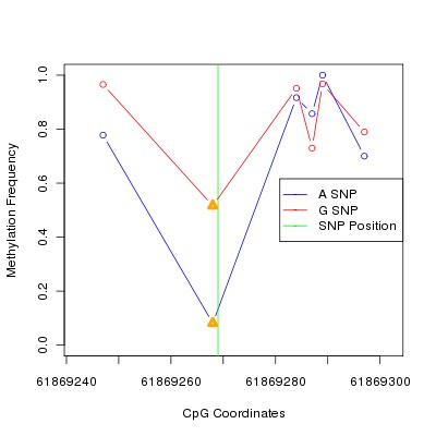 Allele Specific Methylation Frequency Diagram for chr20 61869269 SNP.