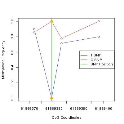 Allele Specific Methylation Frequency Diagram for chr20 61869379 SNP.