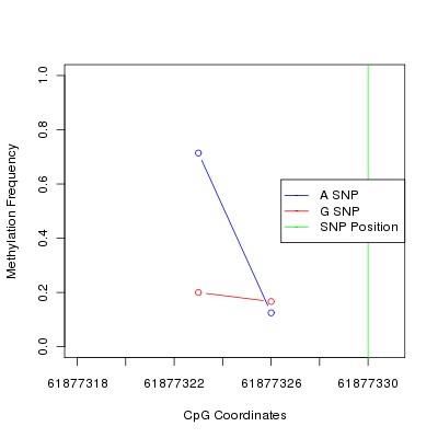 Allele Specific Methylation Frequency Diagram for chr20 61877330 SNP.